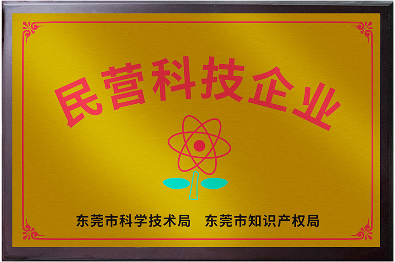 Dongguan Non-public Scientific and Technological Enterprises Dongguan Non-public Scientific and Technological Enterprises
